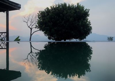 Silhouette tree by lake against sky