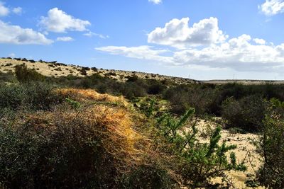 Scenic view of land against sky