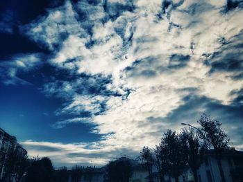 Low angle view of trees against sky