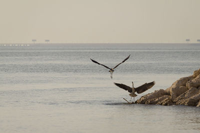 Scenic view of sea against clear sky