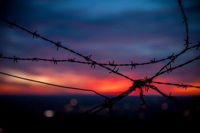 Barbed wire fence at sunset