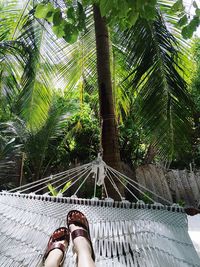 Low section of woman relaxing on hammock