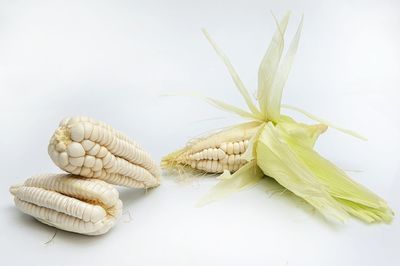 Close-up of fresh bread on table against white background