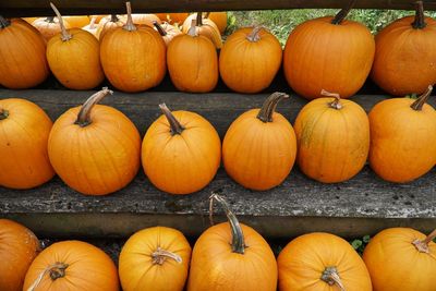 Pumpkins for sale at market stall