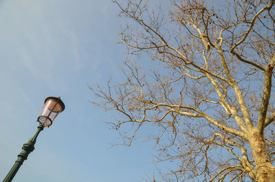 Low angle view of street light against sky