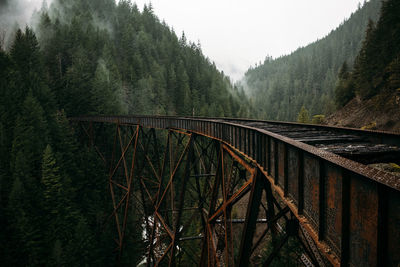 Scenic view of bridge over forest