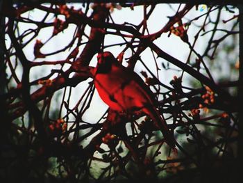 Low angle view of red object