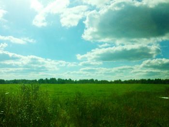 Scenic view of grassy field against sky