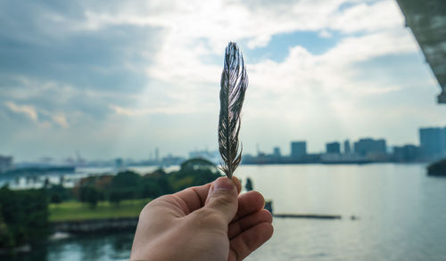 Person holding leaf against sky