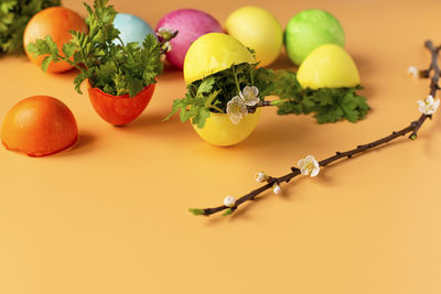 Close-up of fruits against white background