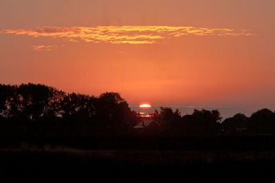 Silhouette trees on field against orange sky