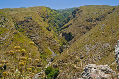environment
