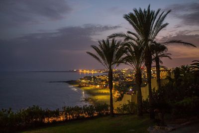 Palm trees by sea against sky at sunset