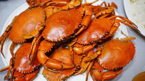 High angle view of steamed crab in plate