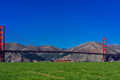 Scenic view of field against clear blue sky