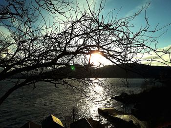 Low angle view of silhouette trees against sky during sunset