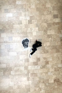 Digital composite image of woman on tiled floor
