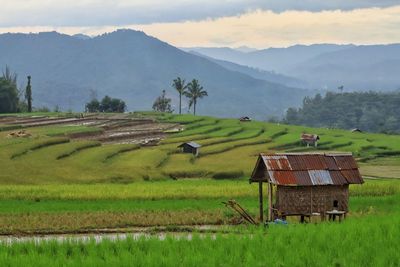 Scenic view of agricultural field against mountains