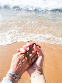 Cropped hand of woman holding seashell at beach