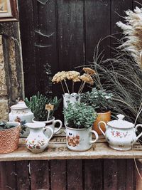 Potted plants on old table against wall