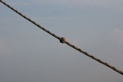 Low angle view of rope against clear sky