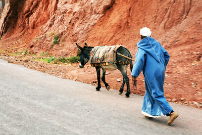 Rear view of man walking by donkey on road