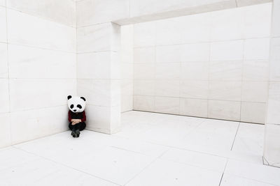 Sad woman wearing panda mask sitting in corner against wall