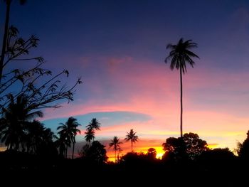 Low angle view of silhouette palm trees against romantic sky