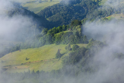 High angle view of trees on mountain