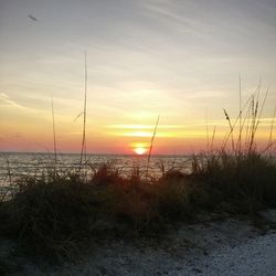 Scenic view of sea at sunset