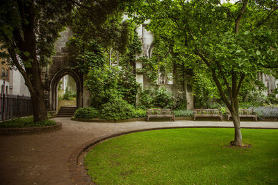 View of garden in park