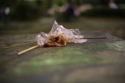 Close-up of dry leaf on wooden table