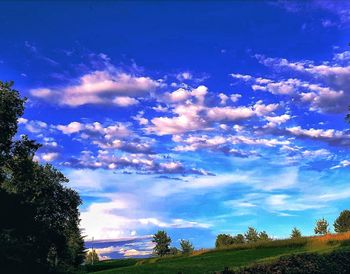 Scenic view of trees on field against sky