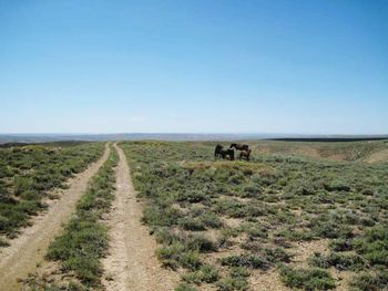 Dirt road on grassy field against cloudy sky