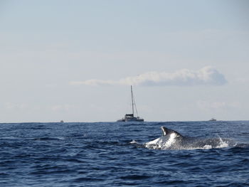 Distance shot of boat in calm blue sea