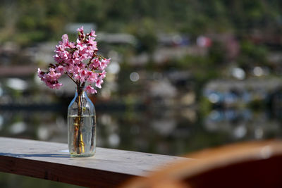 Close-up of pink rose on table