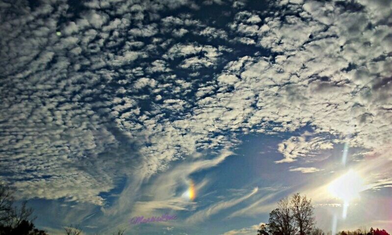 sun, sunbeam, sky, lens flare, sunlight, cloud - sky, tree, beauty in nature, low angle view, scenics, nature, bright, tranquility, outdoors, tranquil scene, sunset, cloudy, no people, idyllic, cloud