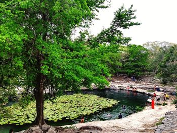 People by lake in forest