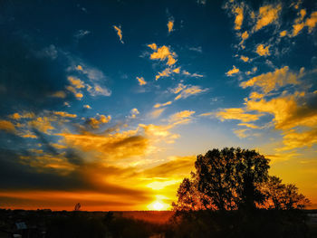 Silhouette trees against sky during sunset