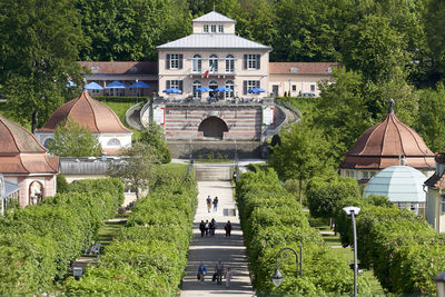 High angle view of plants and trees in garden