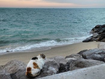 Scenic view of sea against cloudy sky