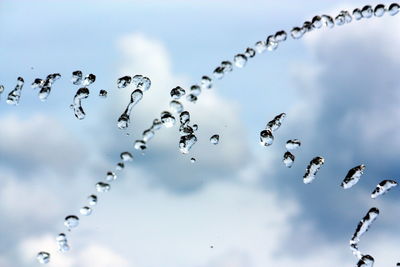 Close-up of water drops against sky