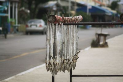 Close-up of barbed wire on street