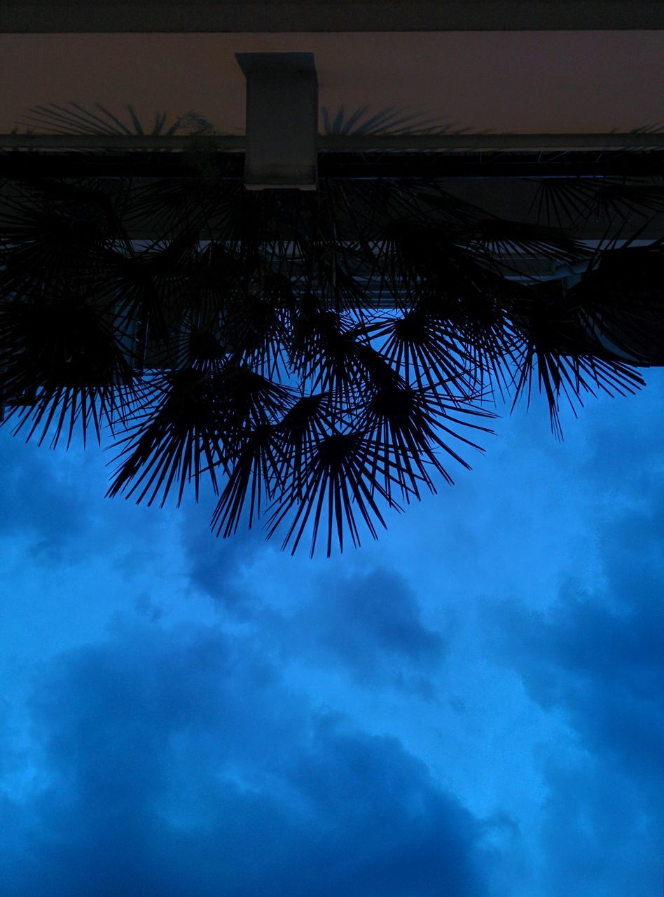 low angle view, sky, palm tree, cloud - sky, silhouette, tree, cloudy, nature, tranquility, beauty in nature, sunset, cloud, dusk, scenics, growth, built structure, outdoors, tranquil scene, no people, weather