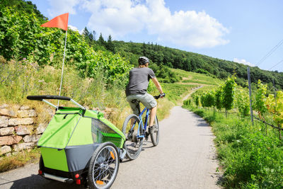 Rear view of man riding bicycle on road