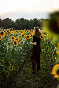 Full length of woman standing by sunflower plants against sky