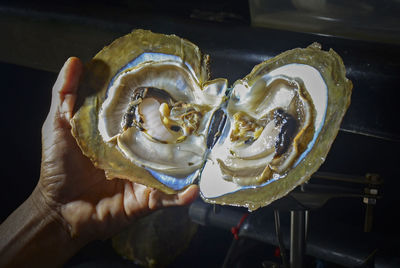 Close-up of hand holding ice cream