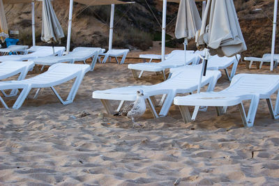 Empty chairs and tables at beach