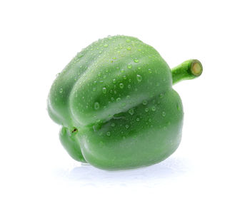 Close-up of wet leaf against white background