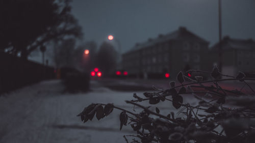 View of city street at dusk